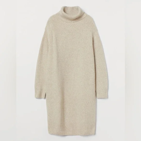 NWT H&M Knit Turtleneck Dress